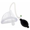 Pompa Intimate Vacuum Cups 4-pieces Transparent