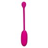 Kegel Ball Advanced Roz